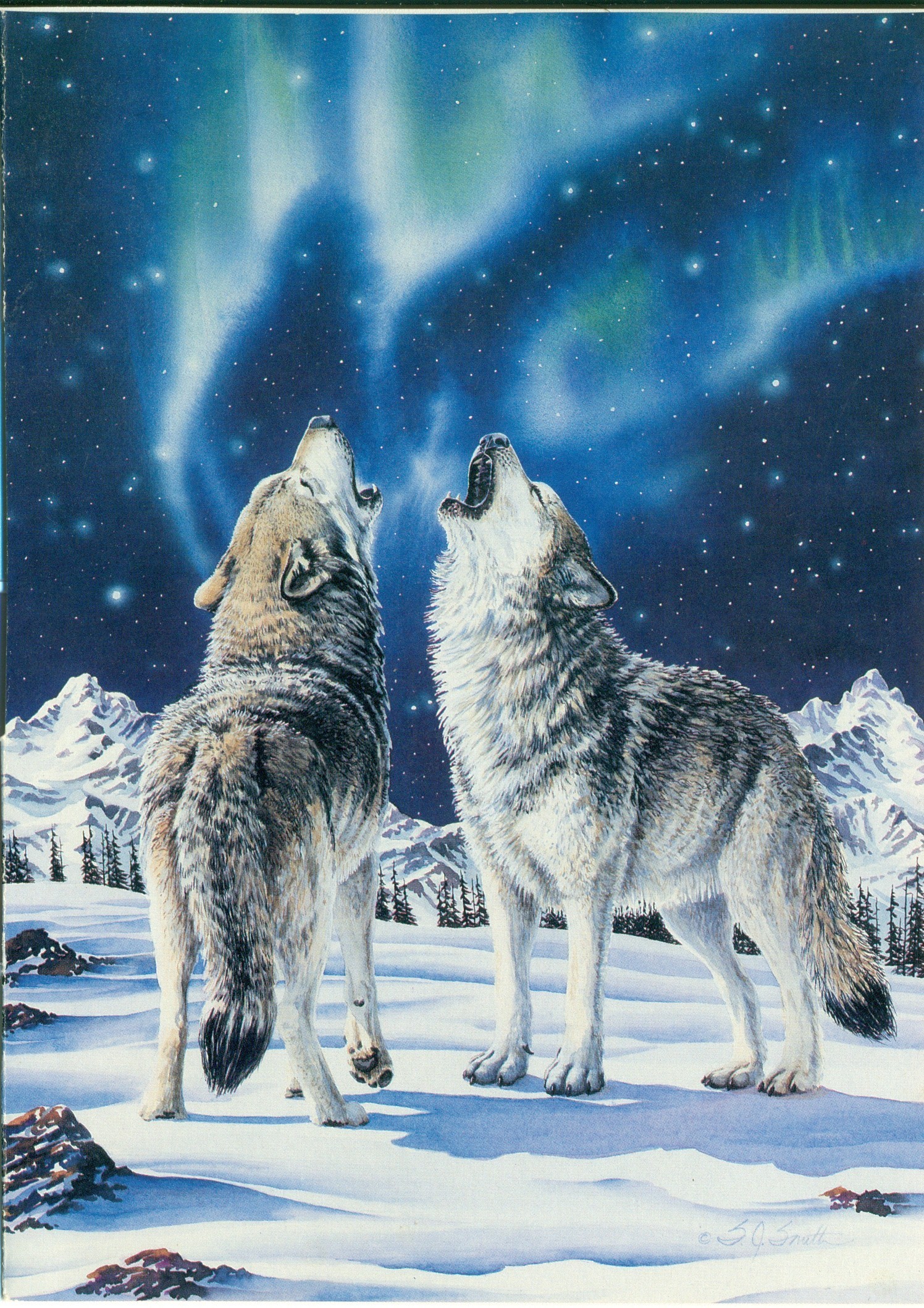 Wolf Aurora Borealis Wallpapers