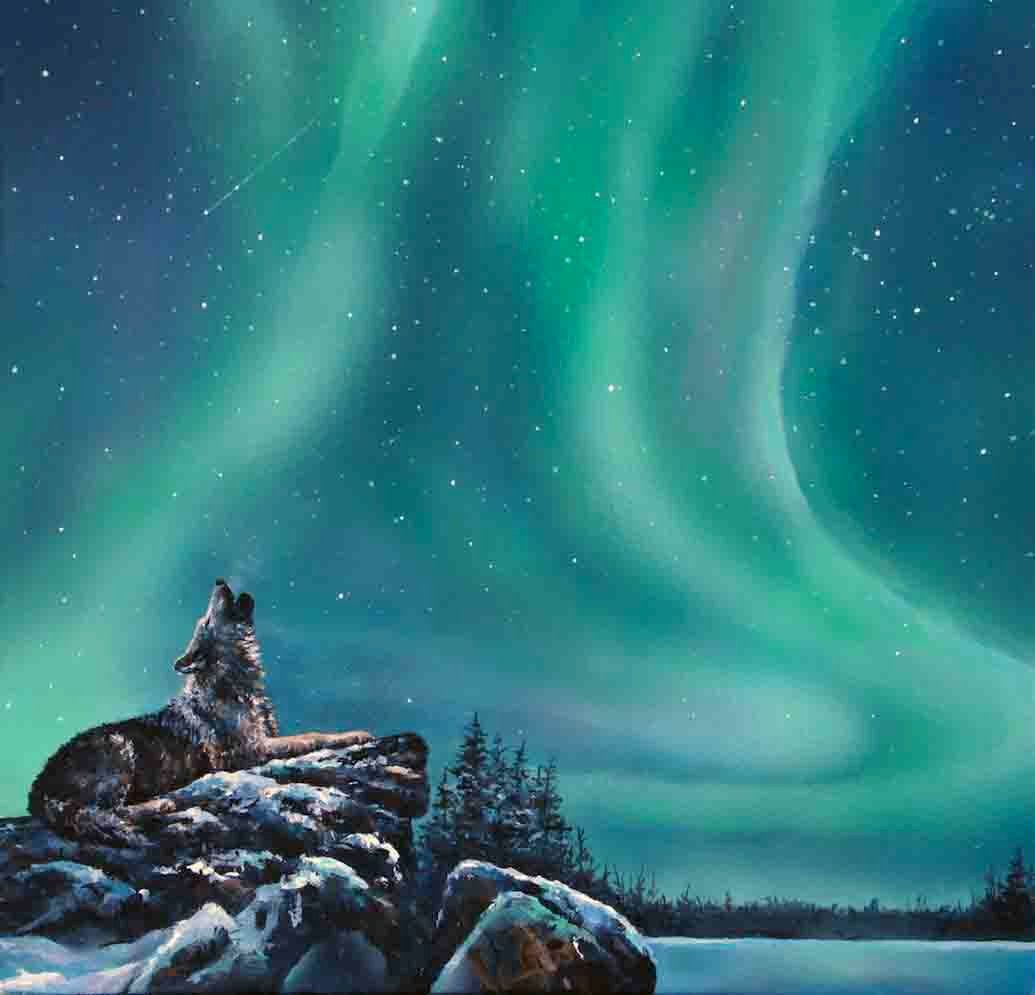 Wolf Aurora Borealis Wallpapers