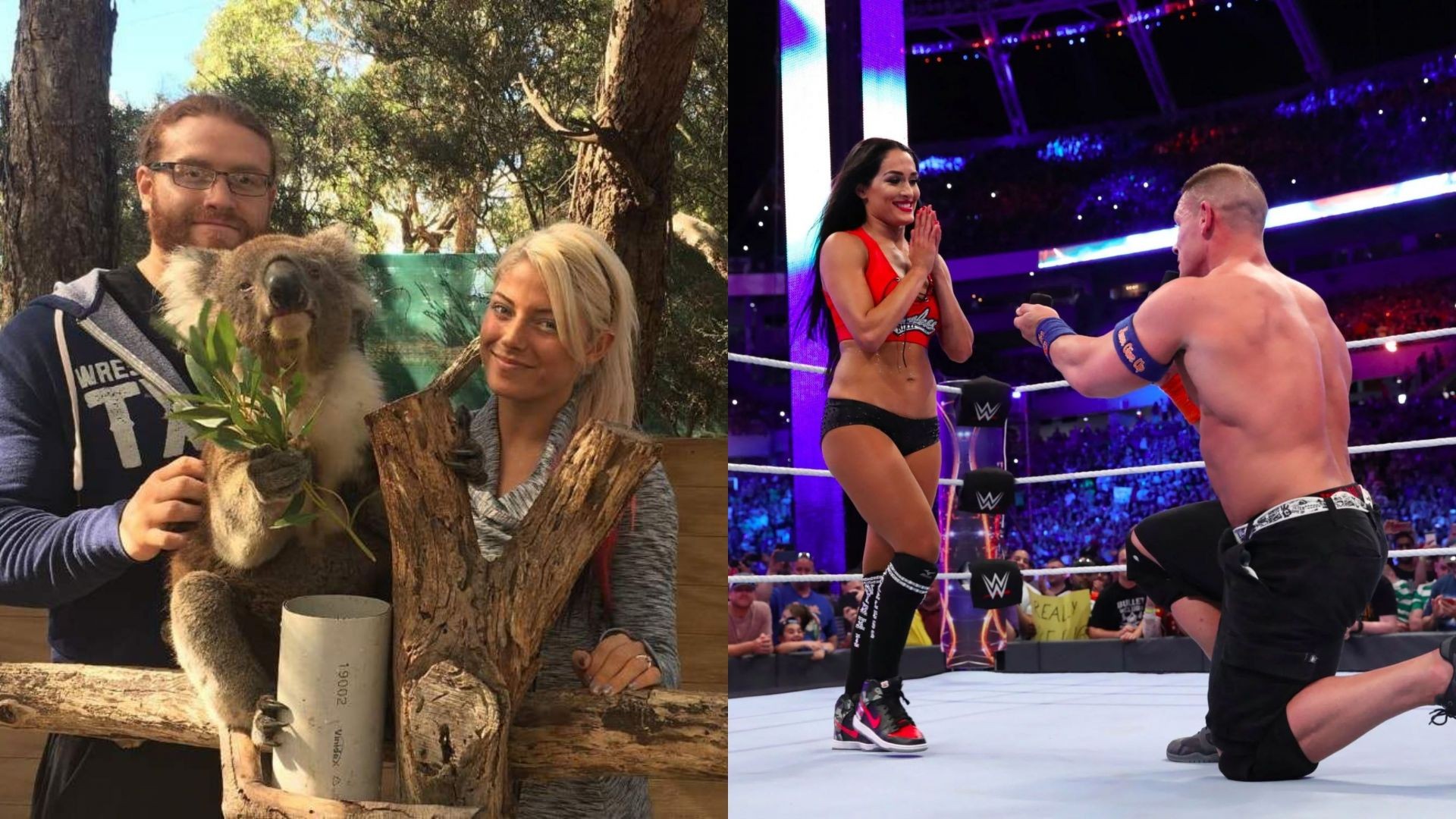 WWE Nikki Bella in Wrestling Ring Pose Wallpapers