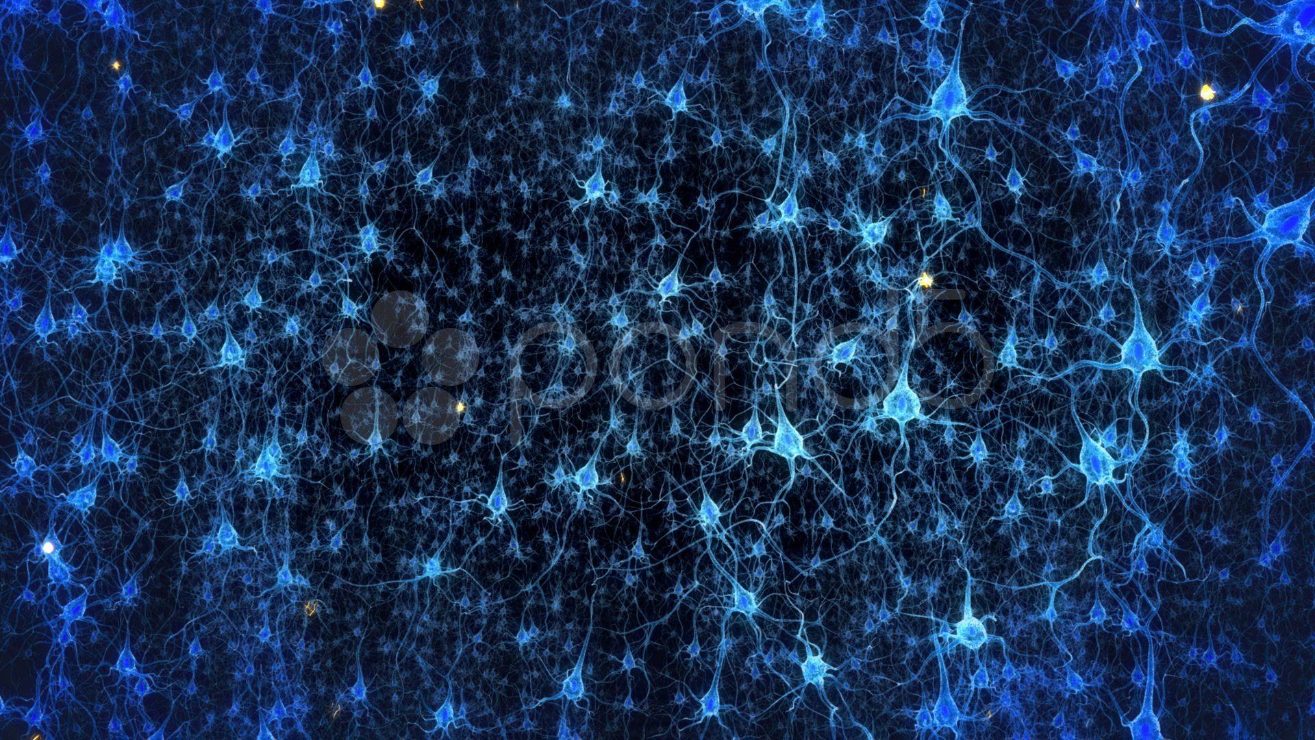 Neural Network Wallpapers
