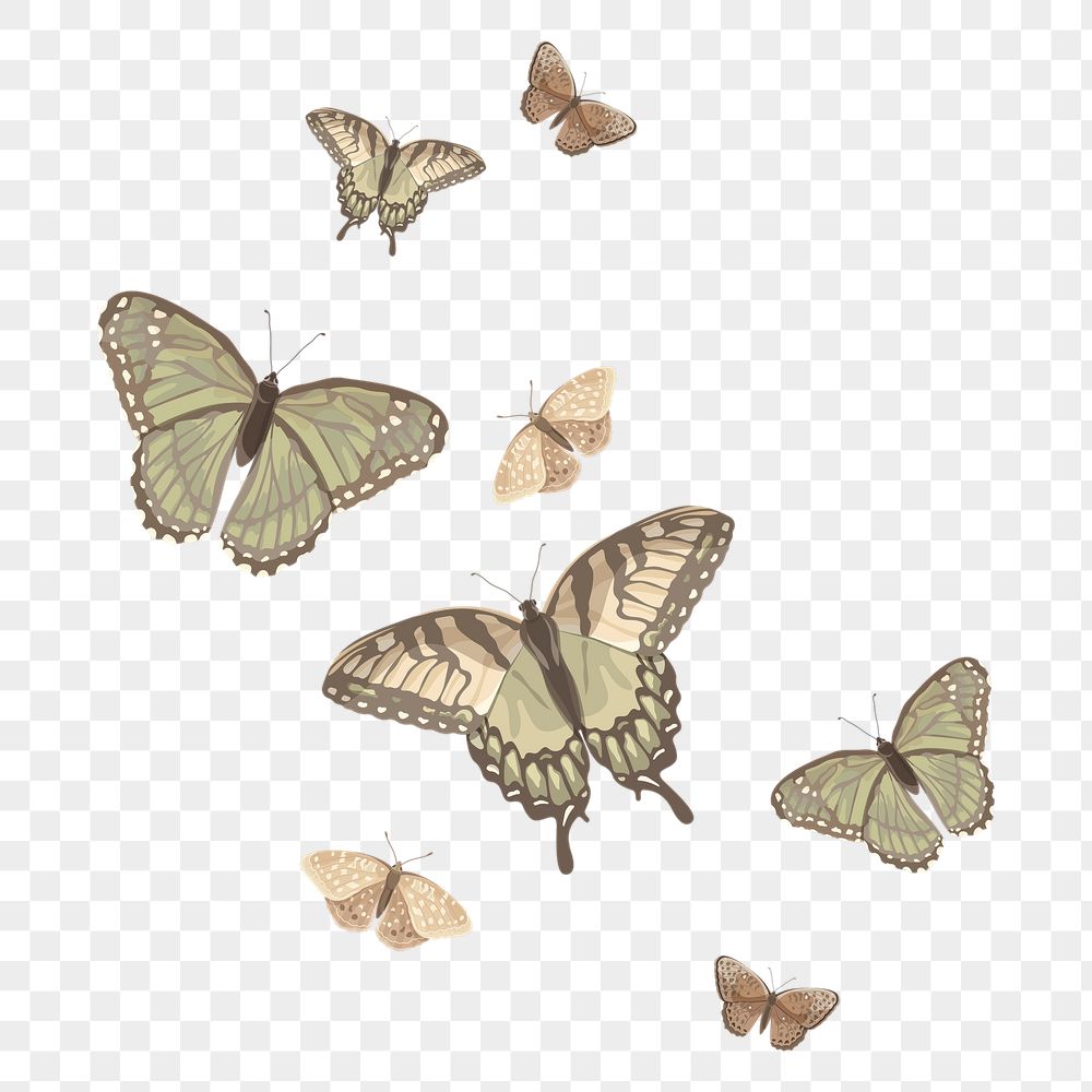 Aesthetic Butterfly Transparent Background