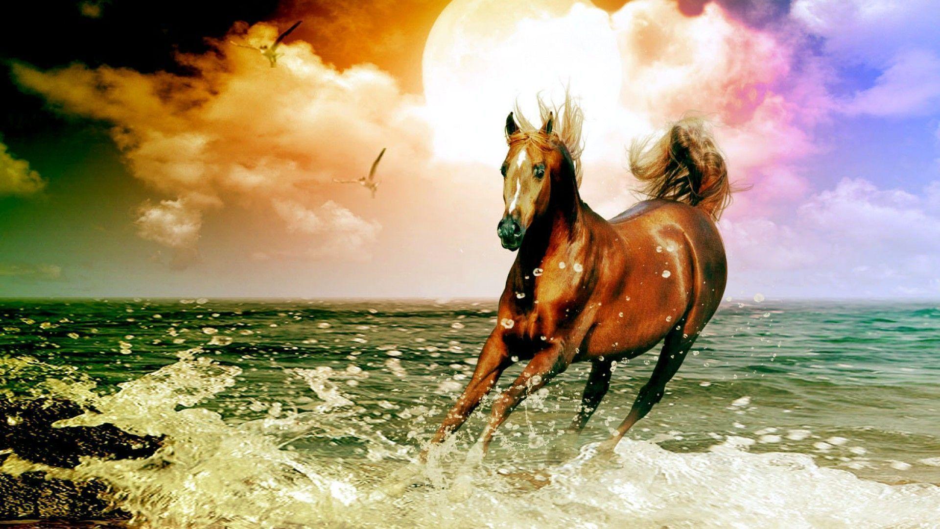 Cool Horse Backgrounds