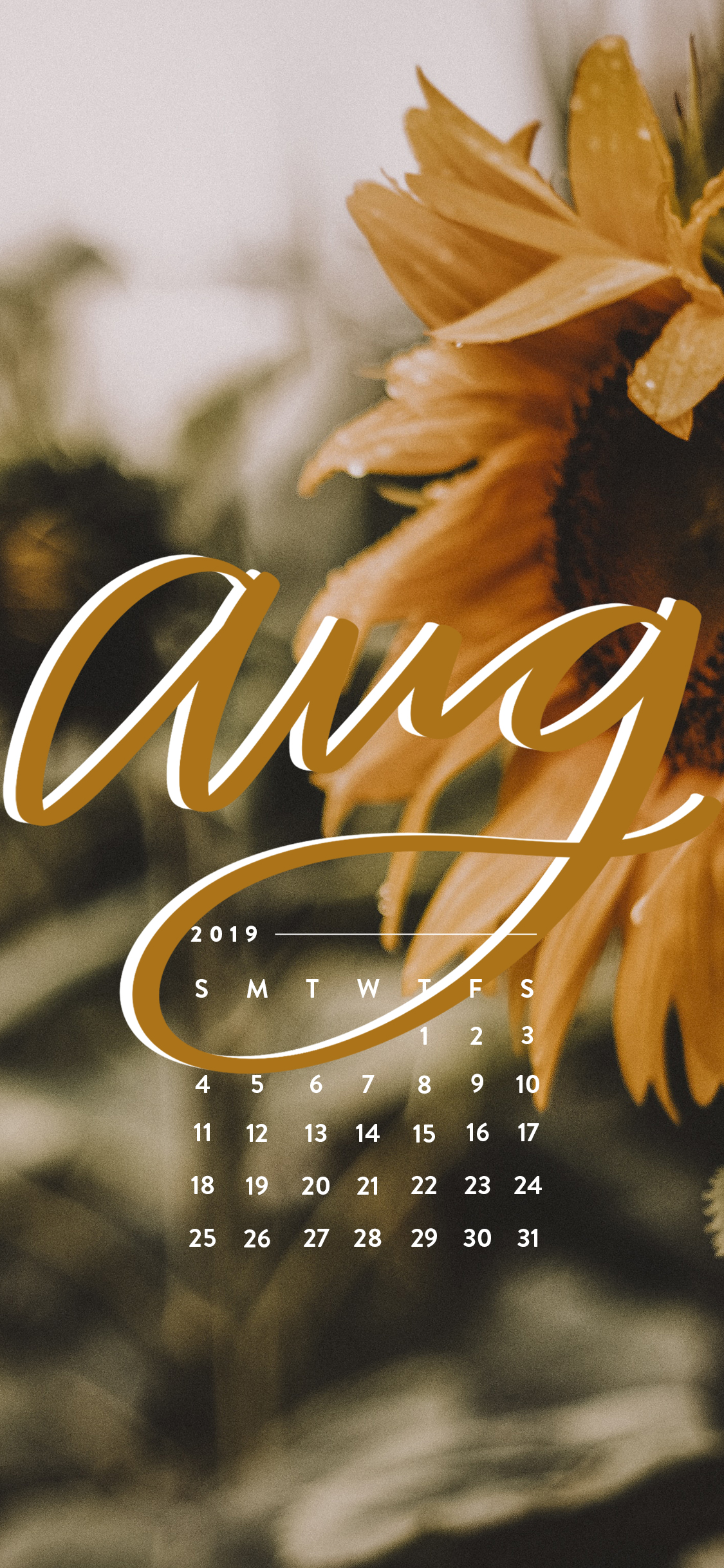 August Background