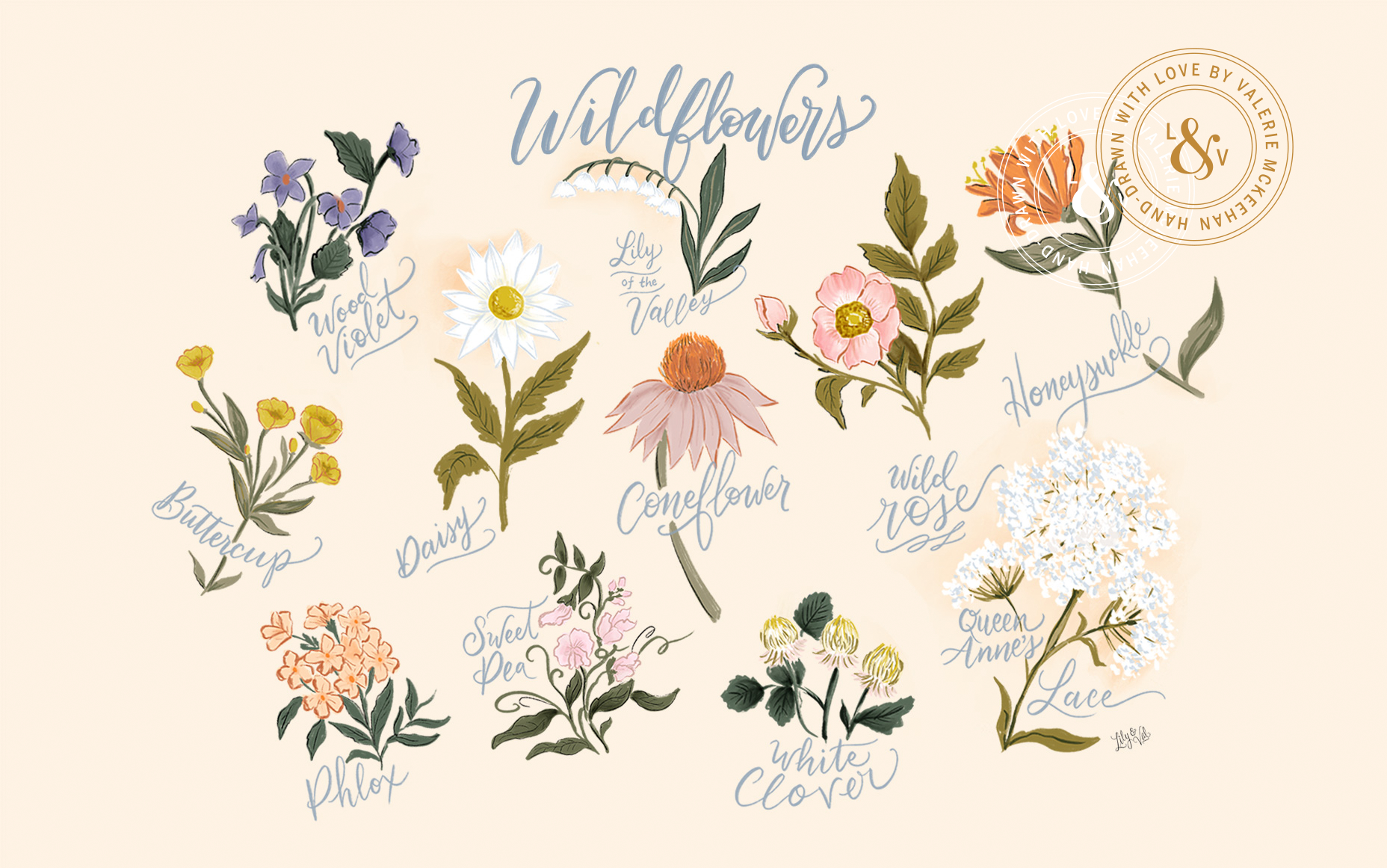 Wildflower Background